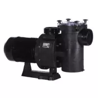 Насос для бассейна Hayward HCP38301E KAP300 M.B (48м³/ч*10м 2.76кВт 220В)